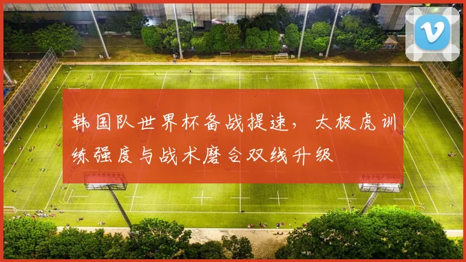 韩国队世界杯备战提速，太极虎训练强度与战术磨合双线升级
